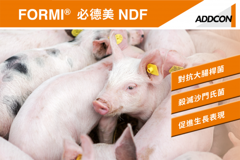 ndf-cover