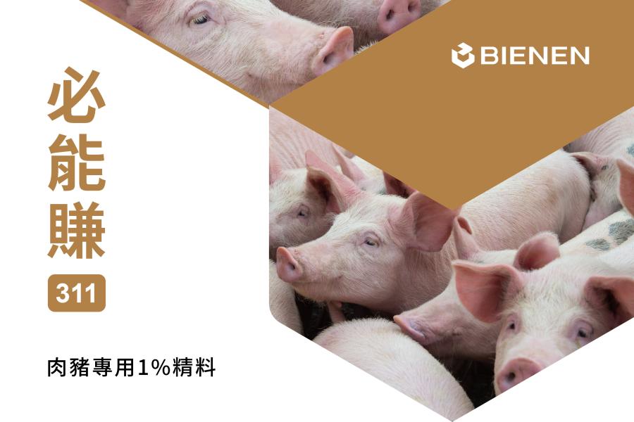 必能賺311