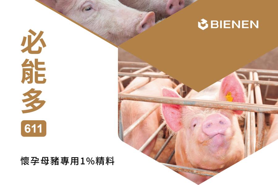 必能多611