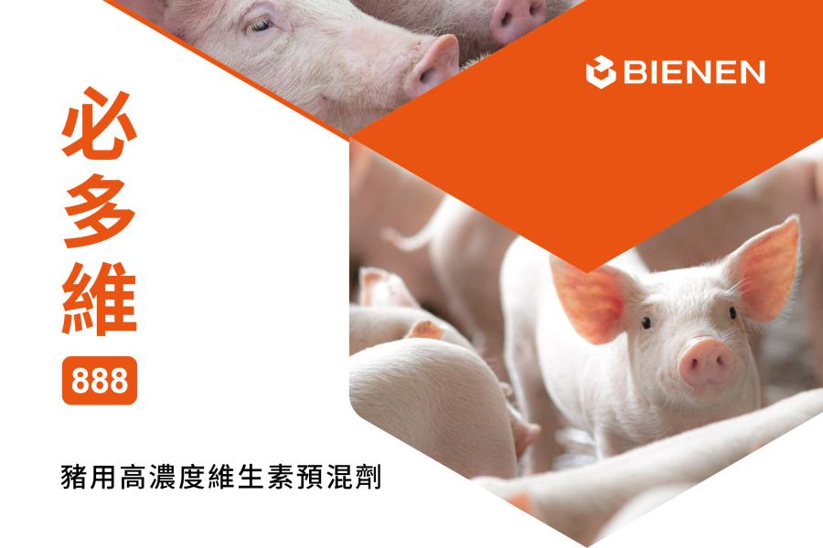 必多維888