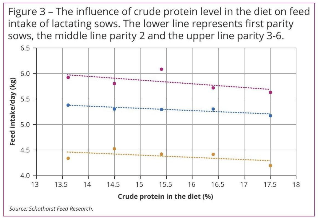 crude protein