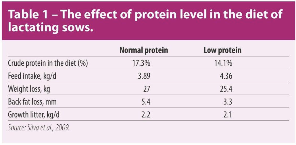 protein table